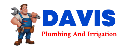 Trusted plumber in DALE